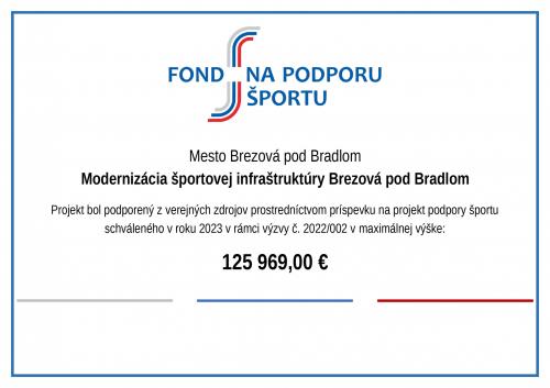 Modernizácia športovej infraštruktúry Brezová pod Bradlom