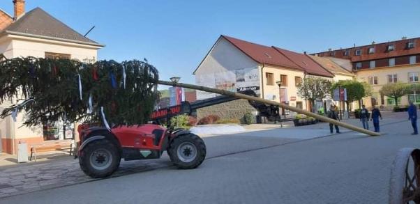 Brezovský máj už stojí na Námestí gen. M. R. Štefánika 4