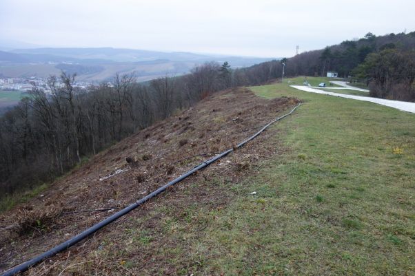 Ukončenie projektu realizácie vegetačných úprav v areáli Mohyly gen. M. R. Štefánika 2