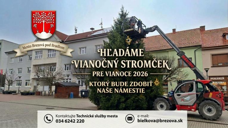 Hladáme vianočný stromcek 2026