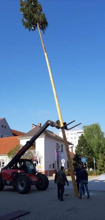 Brezovský máj už stojí na Námestí gen. M. R. Štefánika 5