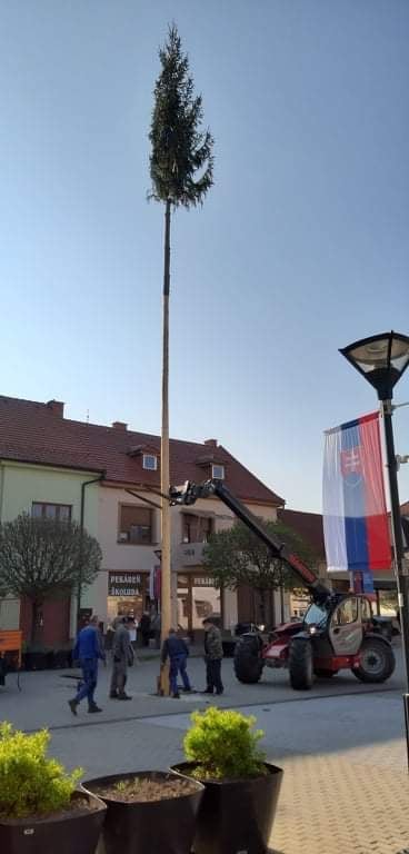 Brezovský máj už stojí na Námestí gen. M. R. Štefánika 7